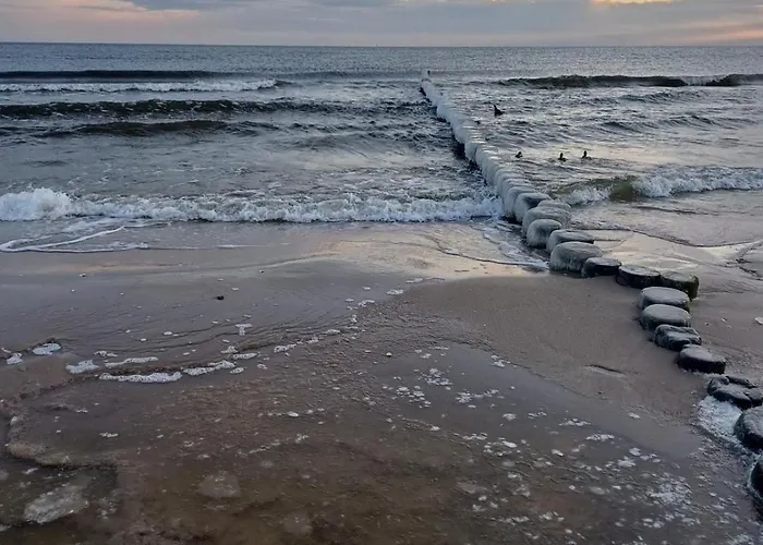 Frieda 1 * Heringsdorf (Usedom)